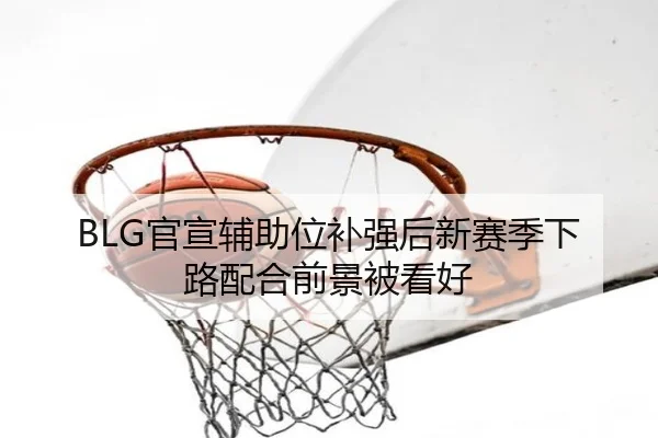BLG官宣辅助位补强后新赛季下路配合前景被看好
